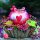 Weihnachten Servietten 33x33 cm 3-lagig 20 Servietten Snow dusted apple Schneebedeckter Apfel