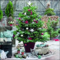 Weihnachten Servietten 33x33 cm 3-lagig 20 Servietten...