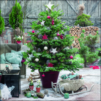 Weihnachten Servietten 33x33 cm 3-lagig 20 Servietten...