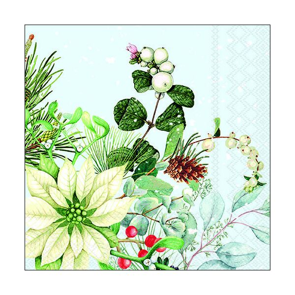 Weihnachten Servietten 33x33 cm 20 Servietten White poinsettia Weihnachtsstern weiss