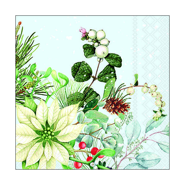 Weihnachten Servietten 33x33 cm 20 Servietten White poinsettia Weihnachtsstern weiss