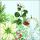 Weihnachten Servietten 33x33 cm 20 Servietten White poinsettia Weihnachtsstern weiss