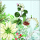 Weihnachten Servietten 33x33 cm 20 Servietten White poinsettia Weihnachtsstern weiss