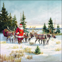 A-2026 Weihnachten Servietten 33x33 cm 3-lagig 20...