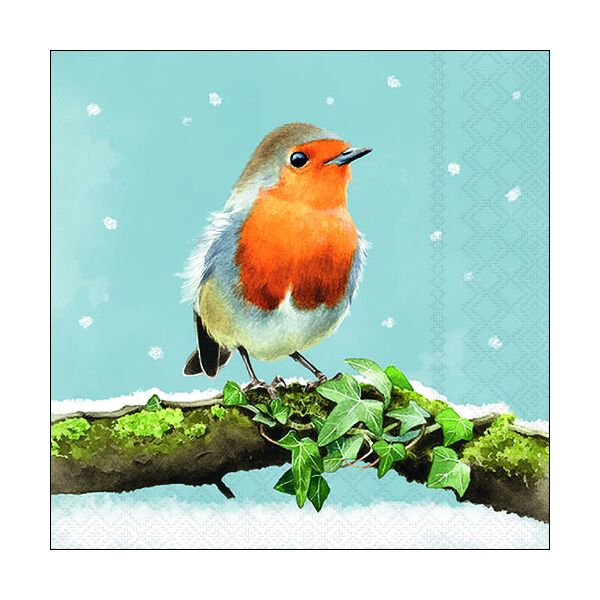 Weihnachten Servietten 33x33 cm 3-lagig 20 Servietten Robin on branch