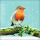Weihnachten Servietten 33x33 cm 3-lagig 20 Servietten Robin on branch