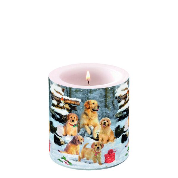 Weihnachten Kerze klein Ø 7,5 cm x 9 cm Golden retriever puppies