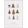 Weihnachten Moments Collection Unverpackte Glückwunschkarte Tannenbäume mit Briefumschlag