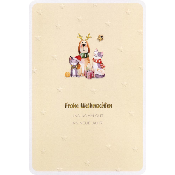 Weihnachten Finest Collection unverpackte Glückwunschkarte Hund Katze Sterne mit Briefumschlag