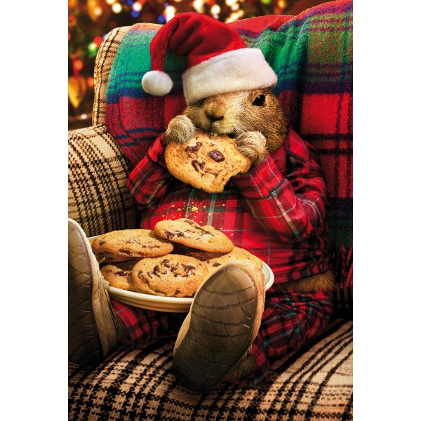 Weihnachten - unverpackte Glückwunschkarte 11,5x17 cm mit Briefumschlag - Hamster Kekse