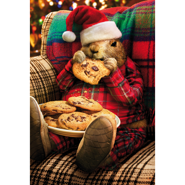 Weihnachten - unverpackte Glückwunschkarte 11,5x17 cm mit Briefumschlag - Hamster Kekse
