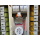 Susifix Ziehschleifenband ORANGE 25mmx3m, 12 Spulen im Umkarton UVP: € 42,00