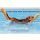 Geburtstag Karte mit Umschlag, unverpackt, Dackel Schwimmnudel Pool Happy Birthday