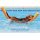 Geburtstag Karte mit Umschlag, unverpackt, Dackel Schwimmnudel Pool Happy Birthday