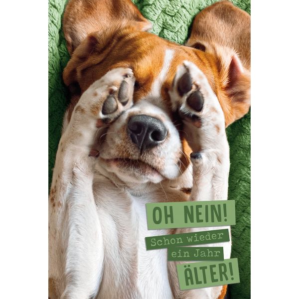 Geburtstag Karte mit Umschlag,  Hund Wieder ein Jahr älter