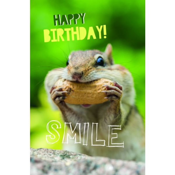 Geburtstag  Karte mit Briefumschlag Eichhörnchen, Smile, Happy Birthday