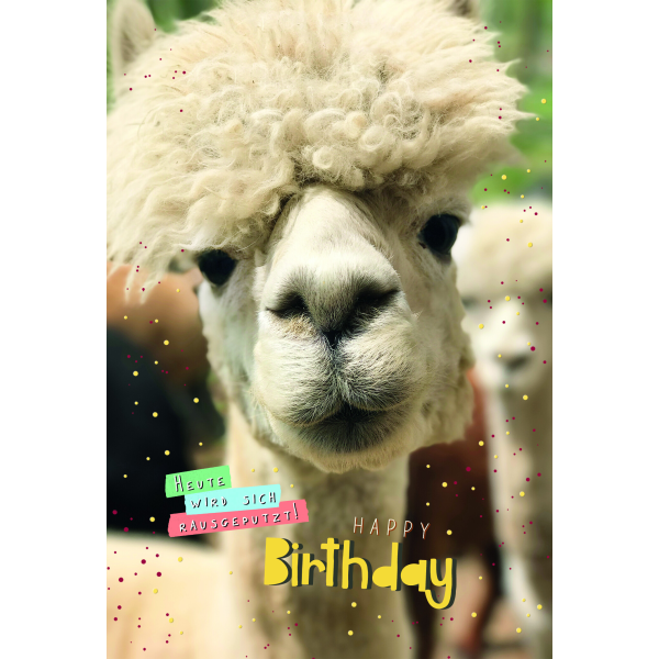 Geburtstag  Karte mit Briefumschlag Alpaka, Happy Birthday