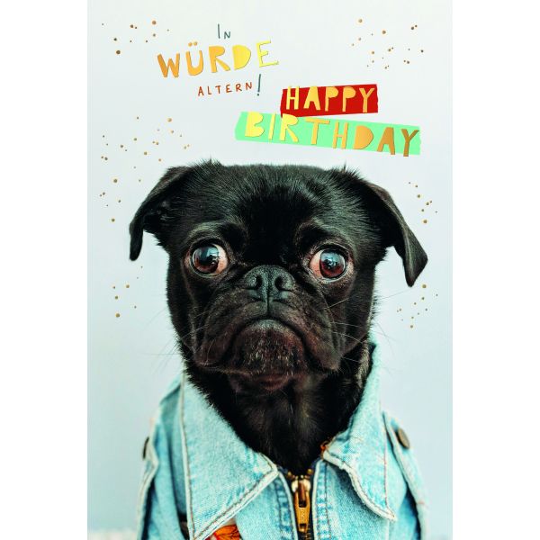 Geburtstag  Karte mit Briefumschlag Hund in Jacke