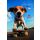 Geburtstag  Karte mit Briefumschlag Hund auf Skateboard