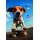 Geburtstag  Karte mit Briefumschlag Hund auf Skateboard