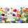 Geburtstag  Karte mit Briefumschlag bunte Blumen