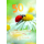 50. Geburtstag  Karte mit Briefumschlag Marienkäfer auf Blüte, mit Goldfolie