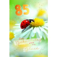 A 85. Geburtstag  Karte mit Briefumschlag...