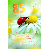 A 85. Geburtstag  Karte mit Briefumschlag...