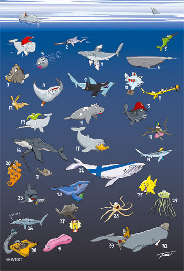 Blanko - Ohne Text Karte mit lustigen Fischen und humorvollen Zeichnungen - Kwal der Wal - Doppelkarten im Format 11,5 x 17 cm mit Umschlag - UVP: € 2,25