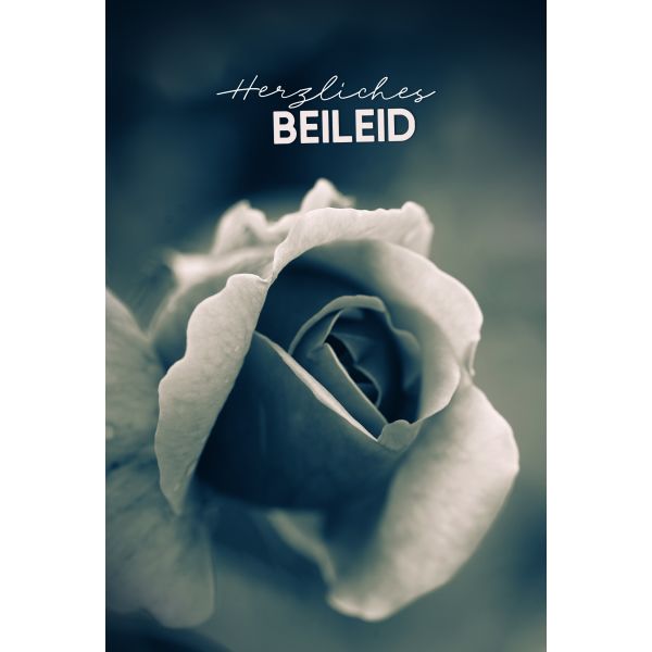 Trauer Beileid Kondolenz  Karte mit Briefumschlag Rose, Herzliches Beileid