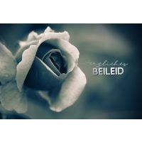 Trauer Beileid Kondolenz  Karte mit Briefumschlag Rose,...