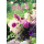Hochzeit  Karte mit Briefumschlag Blumen