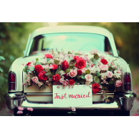 Hochzeit  Karte mit Briefumschlag Rosen am Autoheck