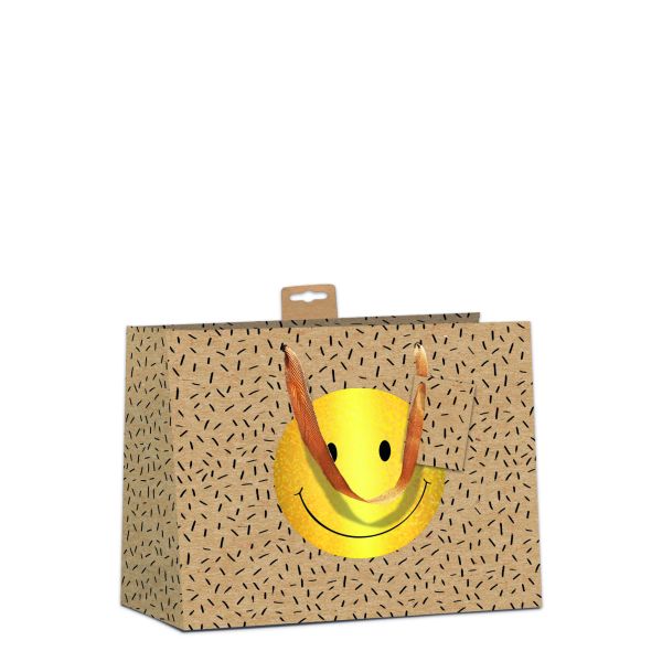6 Geschenktaschen Bundle Querformat Smile Zuckerrohrpapier UVP: 23,70 pro Tüte€ 3,95