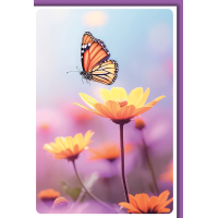 Ohne Text Grußkarte mit Briefumschlag Gerbera &...