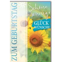 Geburtstag Glückwunschkarte mit Briefumschlag...