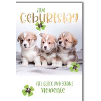 Geburtstag Glückwunschkarte mit Briefumschlag...