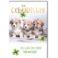 Geburtstag Glückwunschkarte mit Briefumschlag...