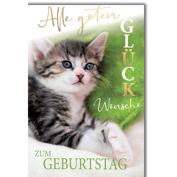 Geburtstag Glückwunschkarte mit Briefumschlag Kätzchen