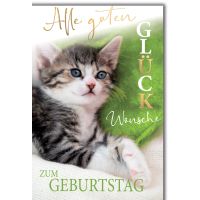 Geburtstag Glückwunschkarte mit Briefumschlag...