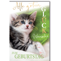 Geburtstag Glückwunschkarte mit Briefumschlag...