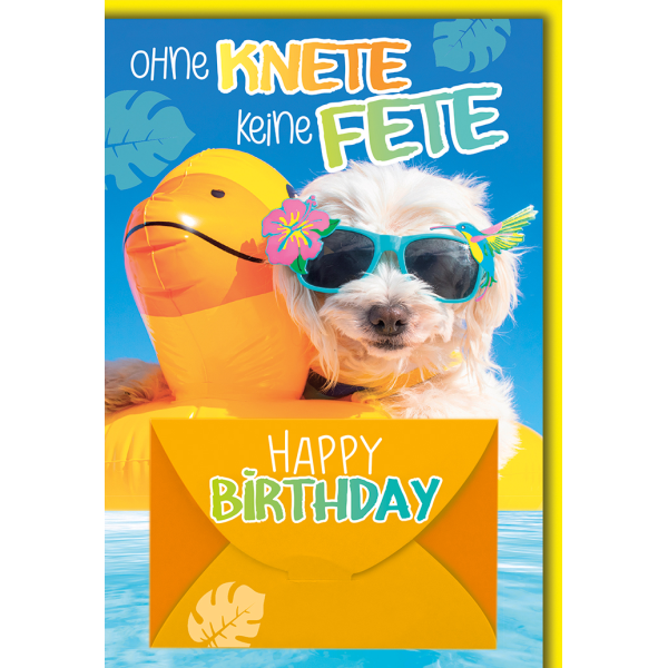 Geburtstag Geldkarte Glückwunschkarte mit Briefumschlag Hund im Pool