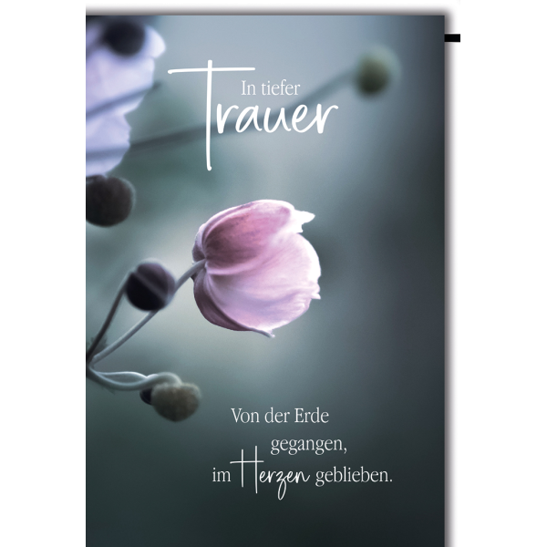 Trauer Beileid Kondolenzkarte mit Umschlag In tiefer Trauer, lila Blume