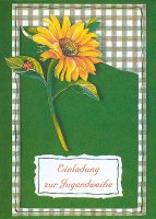 Jugendweihe - Einladungen - 5 Karten – 5 Umschläge – im Format 10,5 x 14,5 cm im Topper