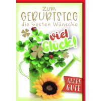 Geburtstag Glückwunschkarte mit Briefumschlag...