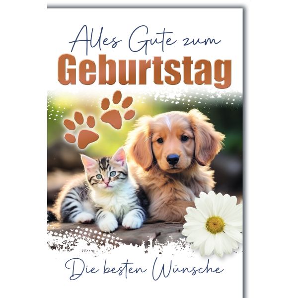 Geburtstag Glückwunschkarte mit Briefumschlag Katz und Hund mit Pfoten