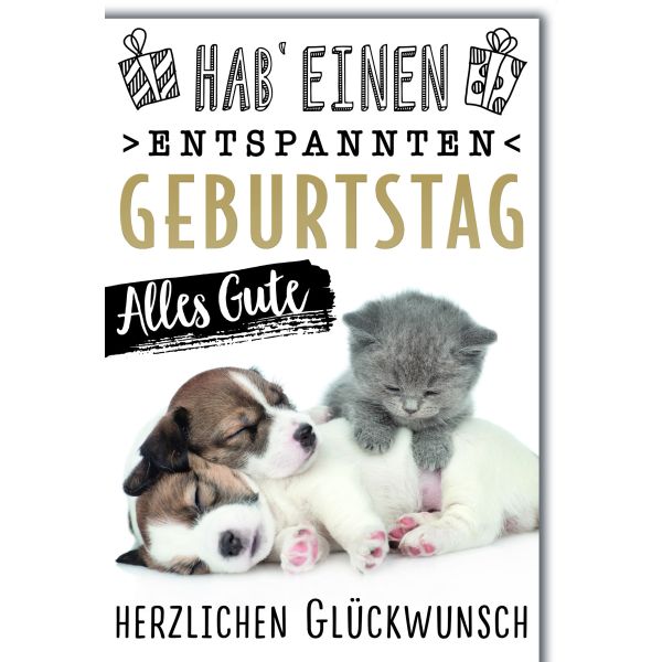 Geburtstag Glückwunschkarte mit Briefumschlag Katz und Hund