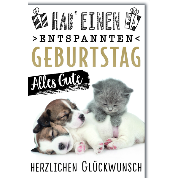 Geburtstag Glückwunschkarte mit Briefumschlag Katz und Hund