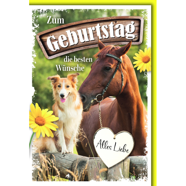 Geburtstag Glückwunschkarte mit Briefumschlag Pferd und Hund