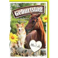 Geburtstag Glückwunschkarte mit Briefumschlag Pferd...